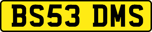 BS53DMS