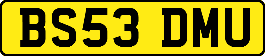 BS53DMU
