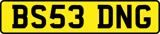 BS53DNG