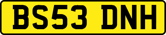 BS53DNH