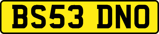 BS53DNO
