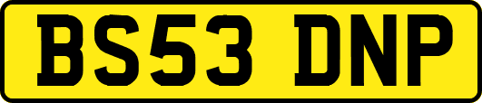 BS53DNP
