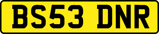 BS53DNR