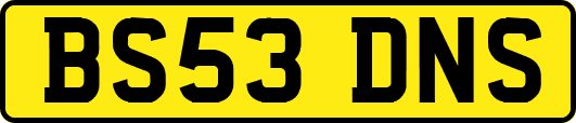 BS53DNS