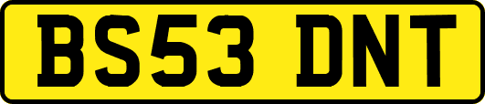 BS53DNT