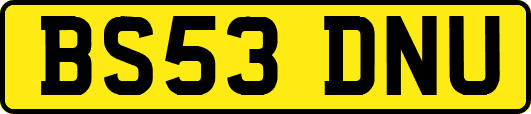 BS53DNU