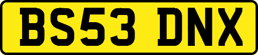 BS53DNX