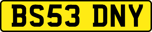 BS53DNY