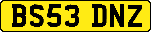 BS53DNZ