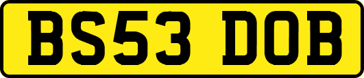 BS53DOB