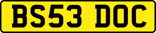 BS53DOC