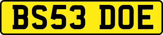 BS53DOE