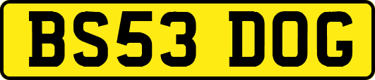 BS53DOG