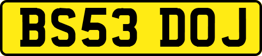 BS53DOJ