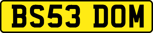 BS53DOM
