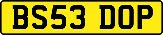 BS53DOP