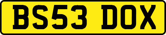 BS53DOX