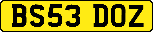 BS53DOZ