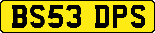 BS53DPS