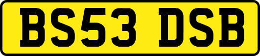 BS53DSB