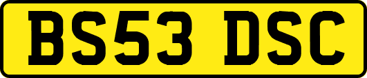 BS53DSC