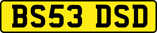 BS53DSD