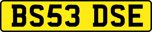 BS53DSE