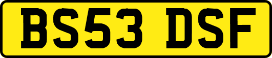 BS53DSF