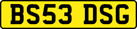 BS53DSG