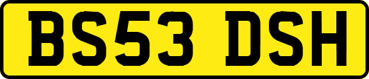 BS53DSH