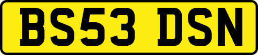 BS53DSN