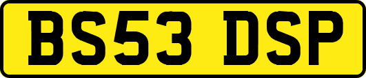 BS53DSP