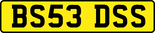 BS53DSS