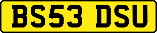 BS53DSU