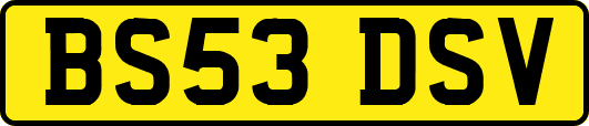 BS53DSV