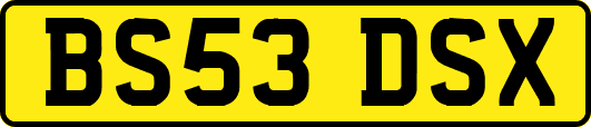BS53DSX