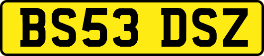 BS53DSZ