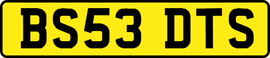 BS53DTS
