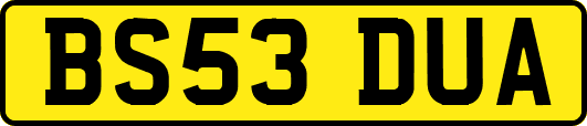 BS53DUA