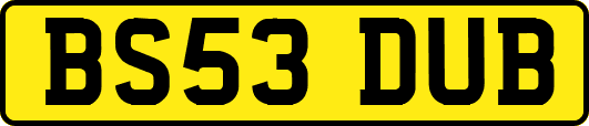 BS53DUB