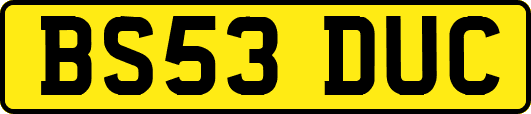 BS53DUC