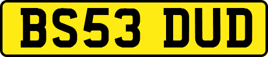 BS53DUD