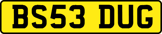 BS53DUG