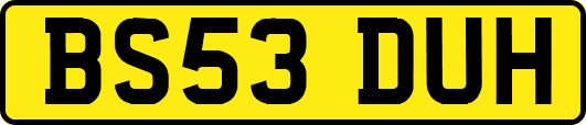 BS53DUH