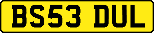 BS53DUL