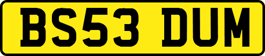 BS53DUM