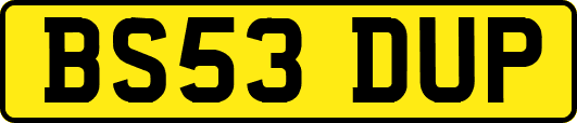 BS53DUP