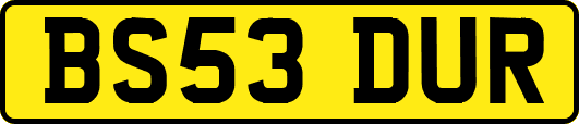 BS53DUR