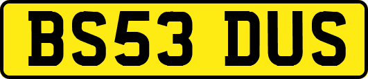 BS53DUS
