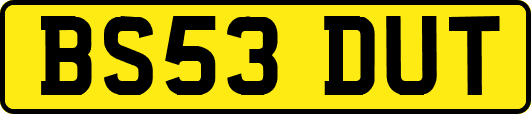 BS53DUT